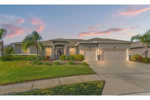 803 BELLA VERDE PLACE, RUSKIN, FL 33573 Sold 01/31/25