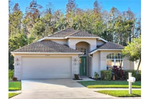 30923 BURLEIGH DRIVE, WESLEY CHAPEL, FL 33543 Sold 03/12/25
