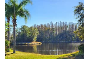 30923 BURLEIGH DRIVE, WESLEY CHAPEL, FL 33543 Sold 03/12/25