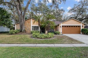 16811 ROLLING ROCK DRIVE, TAMPA, FL 33618 Sold 01/23/25