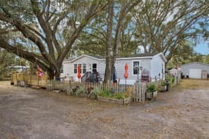 6449 WENDELL DRIVE, WESLEY CHAPEL, FL 33544 Sold 01/27/25