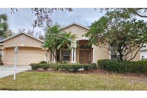 6013 CATLIN DRIVE, TAMPA, FL 33647 Sold 07/09/25