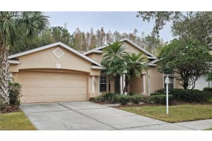6013 CATLIN DRIVE, TAMPA, FL 33647 Sold 07/09/25