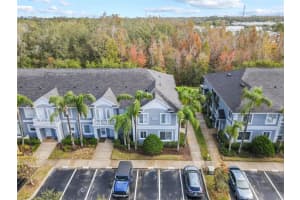 18183 PARADISE POINT DRIVE, TAMPA, FL 33647 Sold 02/05/25