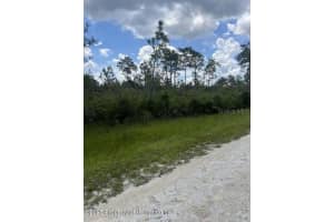 18472 RAMSEY ROAD, BROOKSVILLE, FL 34614 - MLS#MFRTB8329915