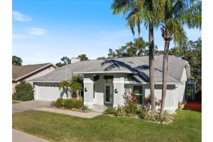 29 FRIENDSHIP COURT, SAFETY HARBOR, FL 34695 Sold 03/04/25