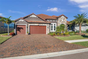 29177 PICANA LANE, WESLEY CHAPEL, FL 33543 Sold 02/13/25