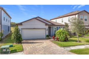 19231 MOSSY PINE DRIVE, TAMPA, FL 33647 Sold 05/23/25