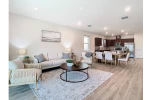 19231 MOSSY PINE DRIVE, TAMPA, FL 33647 Sold 05/23/25