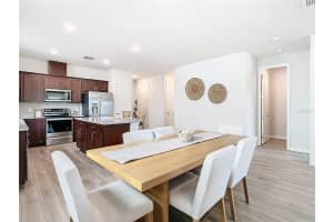 19231 MOSSY PINE DRIVE, TAMPA, FL 33647 Sold 05/23/25