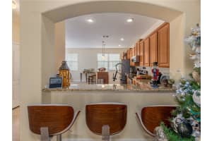 10144 ARBOR RUN DRIVE, TAMPA, FL 33647 Sold 02/19/25