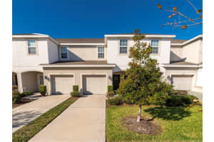 7125 SUMMER HOLLY PLACE, RIVERVIEW, FL 33578 Sold 03/21/25