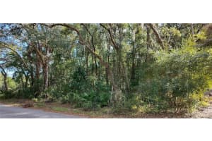 6844 GRANT STREET, HOMOSASSA, FL 34448 Sold 12/19/24