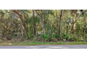 6844 GRANT STREET, HOMOSASSA, FL 34448 Sold 12/19/24