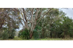 965 SALLY TERRACE, INVERNESS, FL 34452 - MLS#MFRTB8330450