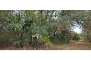 965 SALLY TERRACE, INVERNESS, FL 34452 - MLS#MFRTB8330450