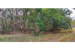 965 SALLY TERRACE, INVERNESS, FL 34452 - MLS#MFRTB8330450