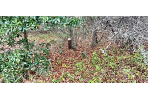 5595 ARTHUR STREET, INVERNESS, FL 34452 Sold 10/28/25