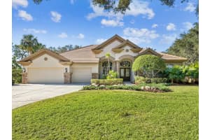 3500 WOODRIDGE PLACE, PALM HARBOR, FL 34684 Sold 02/20/25