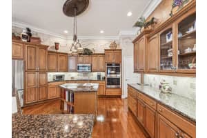 3500 WOODRIDGE PLACE, PALM HARBOR, FL 34684 Sold 02/20/25