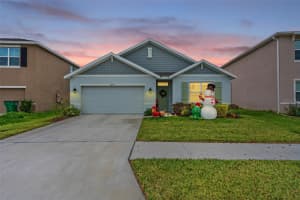 33510 ELM HILL BRANCH, WESLEY CHAPEL, FL 33545 Sold 06/24/25