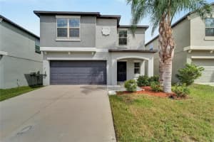 12728 LEMON PEPPER DRIVE, RIVERVIEW, FL 33578 Sold 01/22/25