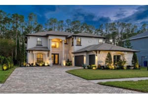 12816 STARLING DRIVE, ODESSA, FL 33556 Sold 02/28/25