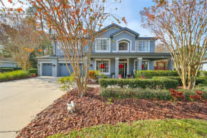 6619 THORNTON PALMS DRIVE, TAMPA, FL 33647 Sold 02/12/25