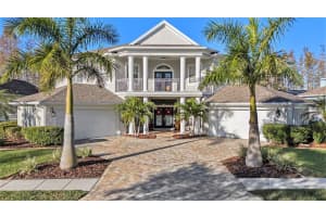 19122 HARBORBRIDGE LANE, LUTZ, FL 33558 Sold 01/21/25