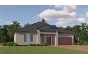 9601 MINNOW RAY DRIVE, LAND O LAKES, FL 34638 Sold 04/29/25