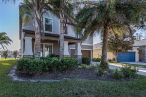 19218 ALEXANDREA LEE COURT, LAND O LAKES, FL 34638 Sold 04/21/25