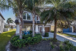 19218 ALEXANDREA LEE COURT, LAND O LAKES, FL 34638 Sold 04/21/25