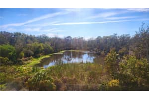 2625 STATE ROAD 590 #2824, CLEARWATER, FL 33759 Sold 03/31/25