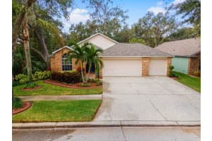 7113 BUCKS FORD DRIVE, RIVERVIEW, FL 33578 Sold 02/03/25