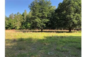 17301 Morris Bridge Rd, THONOTOSASSA