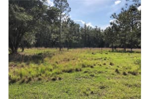 17301 MORRIS BRIDGE ROAD, THONOTOSASSA, FL 33592 - MLS#MFRTB8331185