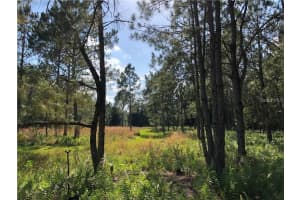 17301 MORRIS BRIDGE ROAD, THONOTOSASSA, FL 33592 - MLS#MFRTB8331185