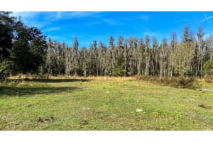 17301 MORRIS BRIDGE ROAD, THONOTOSASSA, FL 33592 - MLS#MFRTB8331185