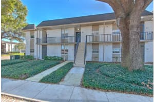 809 RUSSELL LANE, BRANDON, FL 33510 Sold 03/27/25