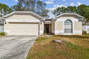 11209 THICKET COURT, TAMPA, FL 33624 Sold 03/04/25