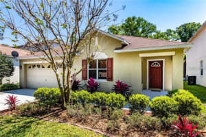 10615 DAWNS LIGHT DRIVE, RIVERVIEW, FL 33578 Sold 03/14/25