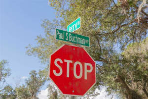 2050 PAUL S BUCHMAN HIGHWAY, ZEPHYRHILLS, FL 33540 - MLS#MFRTB8331294