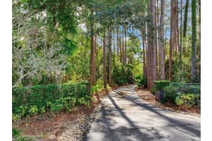 18120 WAYNE ROAD, ODESSA, FL 33556 - MLS#MFRTB8331369
