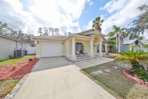 11954 LARK SONG LOOP, RIVERVIEW, FL 33579 Sold 04/21/25