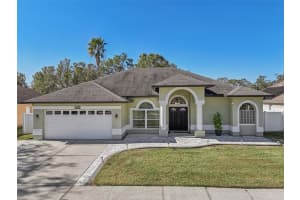 10014 COLONNADE DRIVE, TAMPA, FL 33647 Sold 02/03/25
