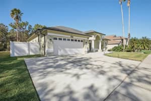 10014 COLONNADE DRIVE, TAMPA, FL 33647 Sold 02/03/25