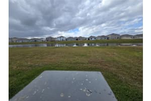 8379 ENDER HILLS DRIVE, WESLEY CHAPEL, FL 33545 - MLS#MFRTB8331472