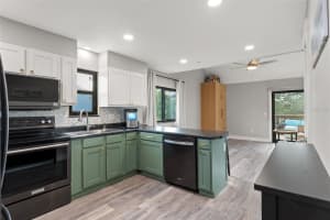 203 LAGOON DRIVE, PALM HARBOR, FL 34683 Sold 02/14/25