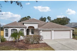 22707 EAGLES WATCH DRIVE, LAND O LAKES, FL 34639 Sold 02/07/25