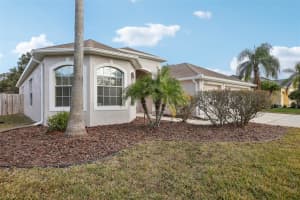 22707 EAGLES WATCH DRIVE, LAND O LAKES, FL 34639 Sold 02/07/25